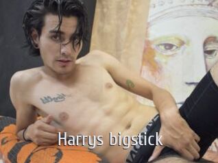 Harrys_bigstick