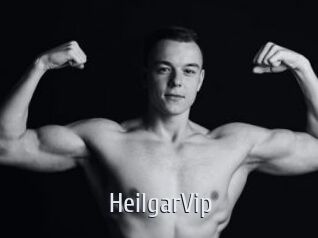 HeilgarVip