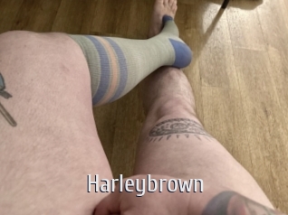 Harleybrown