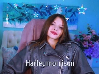 Harleymorrison
