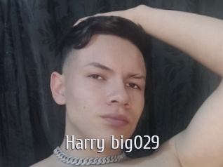 Harry_big029