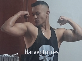 harveytorres Cigare à moustache