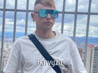 harvyzu Cigare à moustache