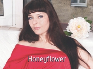 Honeyflower