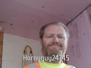 Hornyguy24745