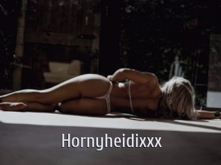 Hornyheidixxx