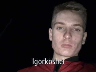 Igorkoshel
