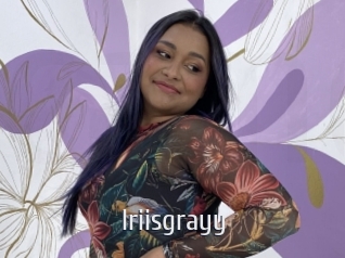Iriisgrayy