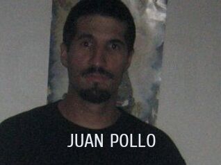 JUAN_POLLO Cigare à moustache