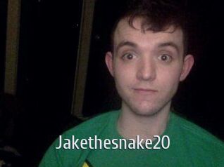 Jakethesnake20