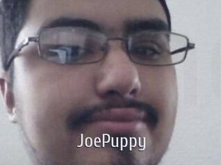 JoePuppy