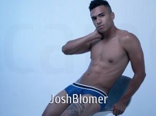 JoshBlomer