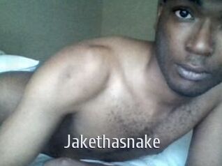 Jake_tha_snake