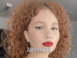 janine288 Cigare à moustache