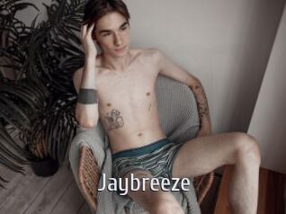 Jaybreeze