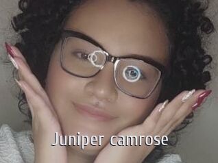 juniper_camrose Cigare à moustache
