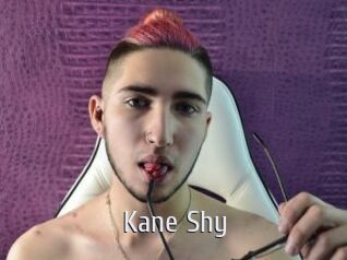 Kane_Shy Cigare à moustache