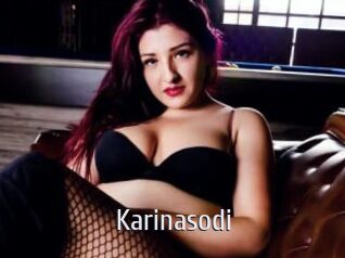 Karinasodi