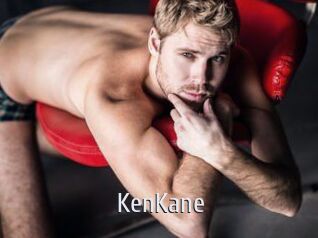 KenKane Cigare à moustache