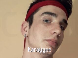 karaygee Cigare à moustache