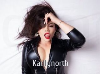 Karllynorth