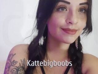 Kattebigboobs