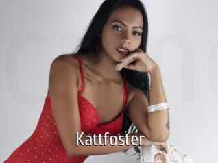 Kattfoster