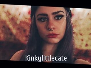 Kinkylittlecate