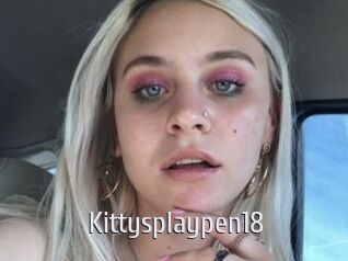 Kittysplaypen18