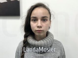 LandaMosier Cigare à moustache