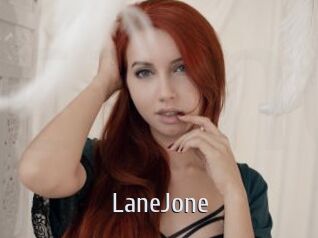 LaneJone Cigare à moustache