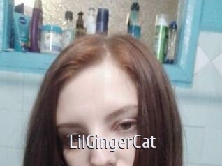 LilGingerCat