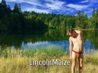 Lincoln_Maize