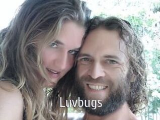 Luvbugs