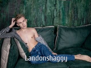 landonshaggy Cigare à moustache