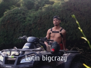 Latin_bigcrazy
