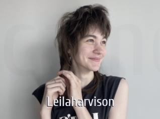 leilaharvison Cigare à moustache