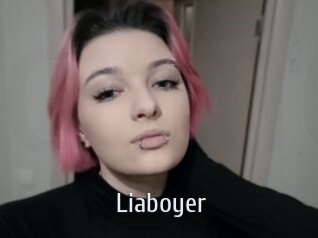 Liaboyer