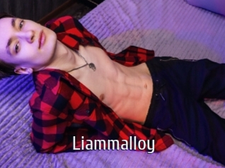 liammalloy Cigare à moustache