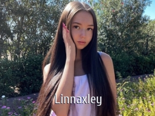 linnaxley Cigare à moustache