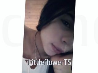 LittleflowerTS