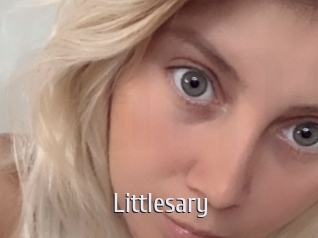 littlesary Cigare à moustache