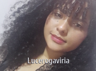 Lucerogaviria