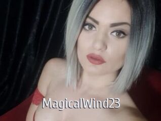 MagicalWind23