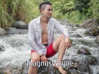 MagnusWayne