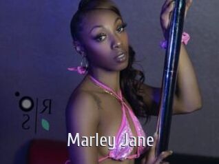 Marley_Jane Cigare à moustache