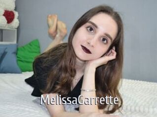MelissaGarrette Cigare à moustache