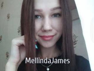 MellindaJames Cigare à moustache