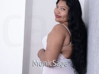 MonicSage Cigare à moustache