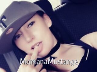 MontanaMustange Cigare à moustache